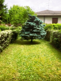 SEREGNO, VILLETTA A SCHIERA, RIF. VS33