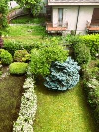 SEREGNO, VILLETTA A SCHIERA, RIF. VS33