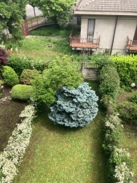 SEREGNO, VILLETTA A SCHIERA, RIF. VS33