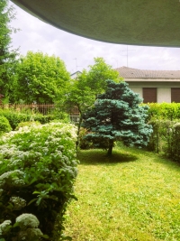 SEREGNO, VILLETTA A SCHIERA, RIF. VS33