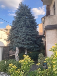 CABIATE, SOLUZIONE INDIPENDENTE - RIF. CSI1