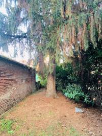 MEDA - PORZIONE IMMOBILIARE DA RISTRUTTURARE - RIF. MPI11