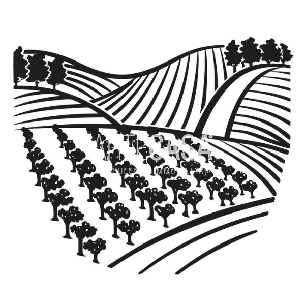 GIUSSANO, TERRENO AGRICOLO - RIF. VTG